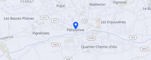 Courses des Foulées Pélissannaises - Pelissanne