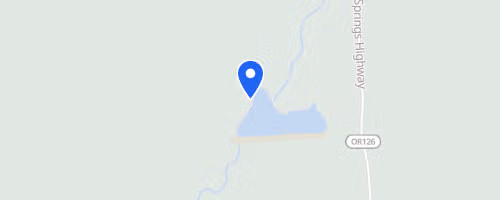 McKenzie River Trail Run