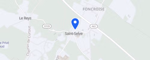 Foulées saint-selvaises - Saint-Selve