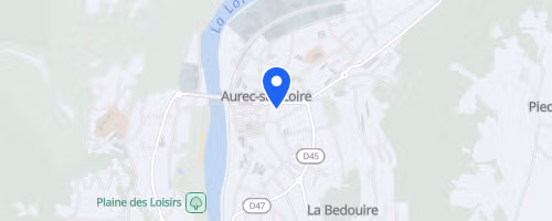 Course des bords de loire  Aurec-sur-Loire