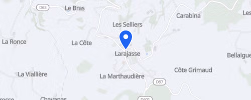 Les foulées de noël - Larajasse