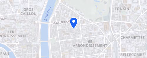 Run in Lyon - Semi-Marathon 2026