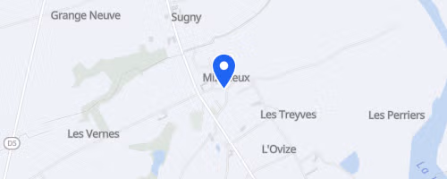 Course des bords de Loire - Mizérieux