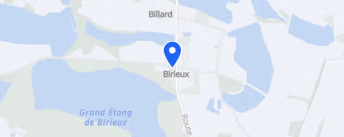 Duo en Dombes - Birieux