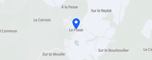 Trail du Chalam - La Pesse