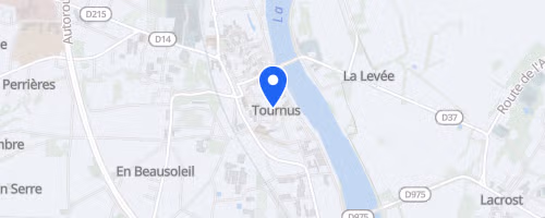 Cross de Tournus