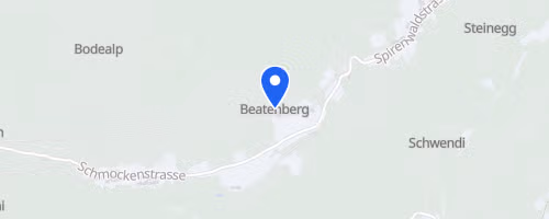 Niederhorn Berglauf