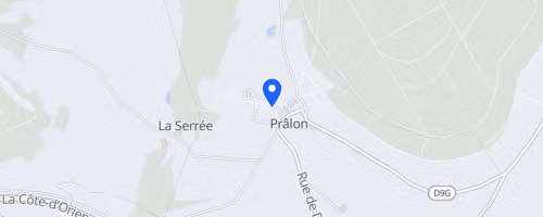 Marche nordique du Mont chauvin - Prâlon