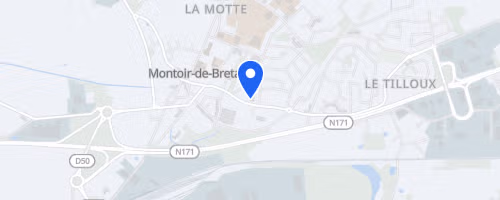 Les foulées du Beluga - Montoir-de-Bretagne