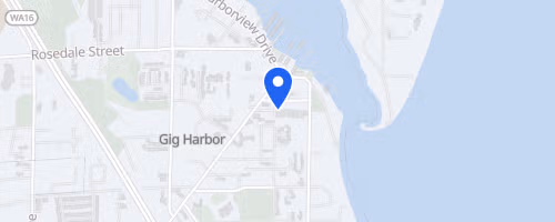Holmes Chiropractic Care Gig Harbor Turkey Trot!
