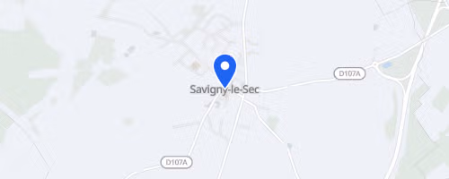 Corrida Des Lampions - Savigny Le Sec