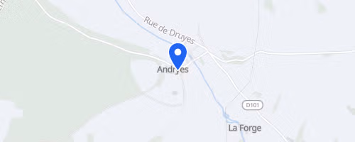 Les foulées androgiennes - Andryes