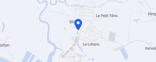 Foulées de Billiers