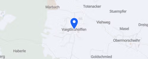 Course De La Fête Du Rabseppi - Voegtlinshofen