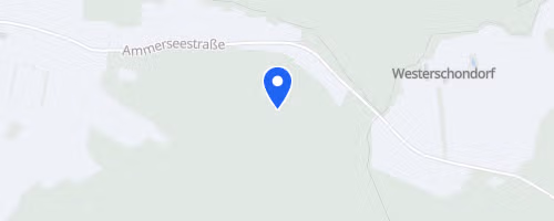 32. FT Jahn Nikolauslauf