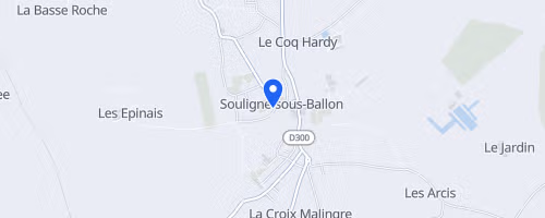 Les Foulées des Portes du Maine
