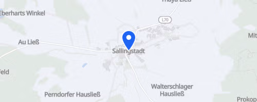 Martinilauf Sallingstadt
