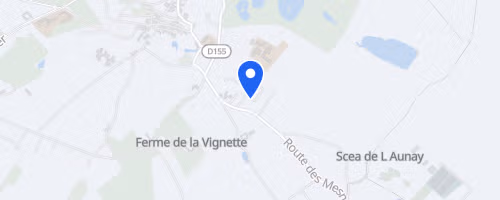 Course des flambeaux