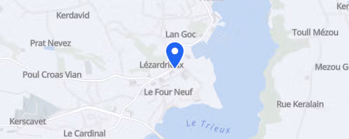 Course des lézards - Lézardrieux