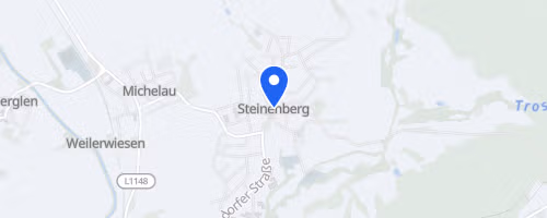 39. Steinenberger Waldlauf