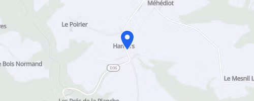 La fabrizh run - Le Hom