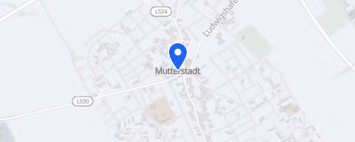 engelhorn Brooks Laufcup Mutterstadter Volkslauf