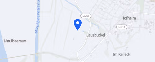 39. Hofheimer Volkslauf