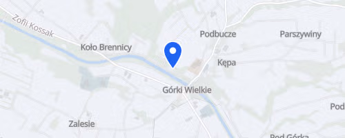 Bieg na Bucze