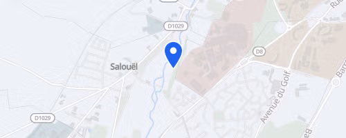 Semi-marathon de la coulée verte - Salouël