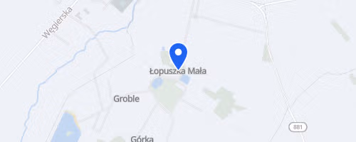 Kryterium Biegowe Łopuszki Małej