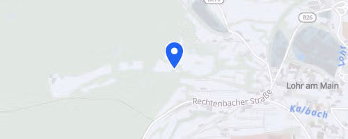22. Raiffeisen Altstadtlauf Lohr a. Main