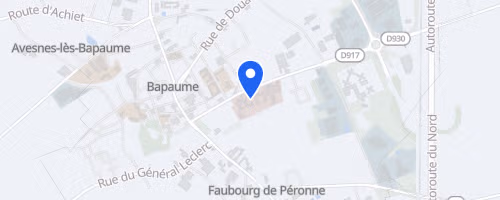 Les Foulées Bapalmoises