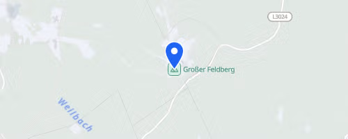 Feldbergfestlauf