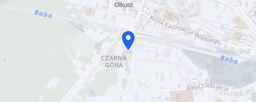 Olkuski Bieg Uliczny VIII Srebrna Dziesiatka