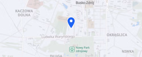 Półmaraton Buski