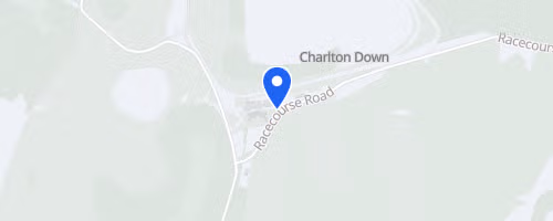 South Downs Trail Run