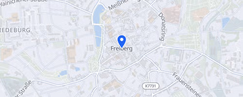 14. Freiberger Bürgerfestlauf