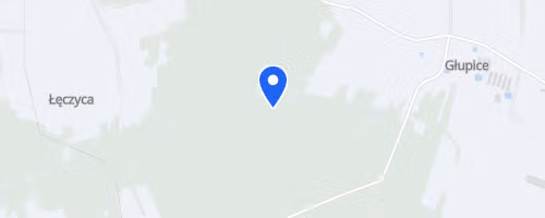 Bieg Pamięci Tomasza Wasilewskiego