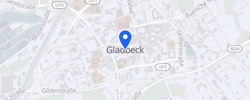 21. Gladbecker Sparkassenlauf