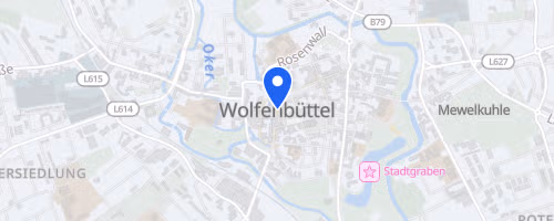 40. Wolfenbütteler Stadtlauf