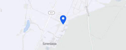 Bieg w Dobrym Kierunku