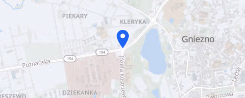 Bieg Lechitow Festiwal Biegowy Gniezno