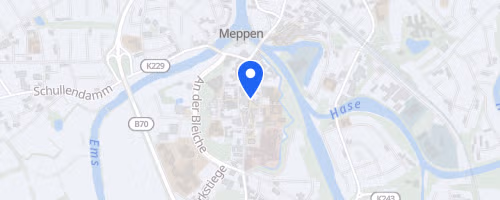 39. Sparkassen-City-Lauf Meppen