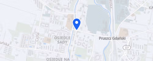 Polmaraton Wrotkarski o Puchar Burmistrza Pruszcza Gdanskiego