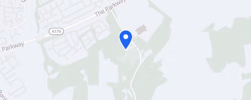 Pine Forest 5K Trail