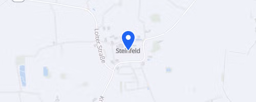 Silvesterlauf Steinfeld/Mühlen