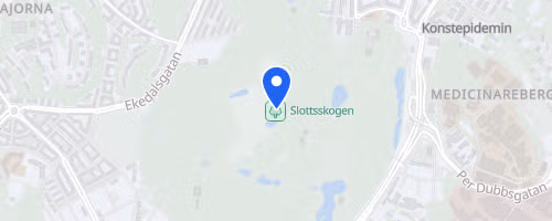 Fredsloppet Göteborg