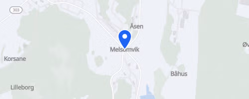 Moaløpet