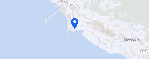 Idrettsheialøpet