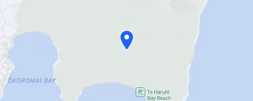 Auckland Trail Run & Walk - Shakespear Regional Park